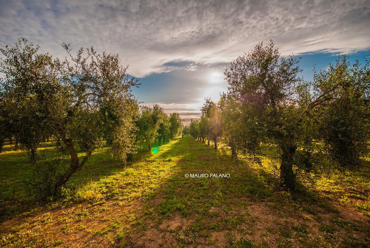 Tenuta Kyrios Borgagne Exterior photo